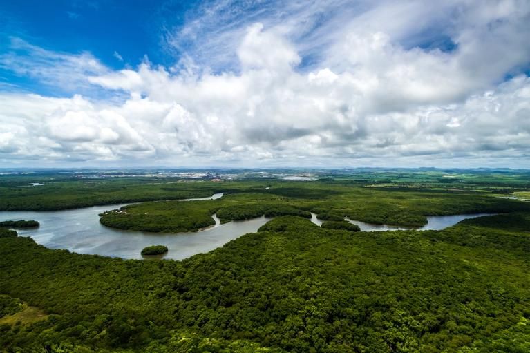Amazon River, rainforest, Brazil